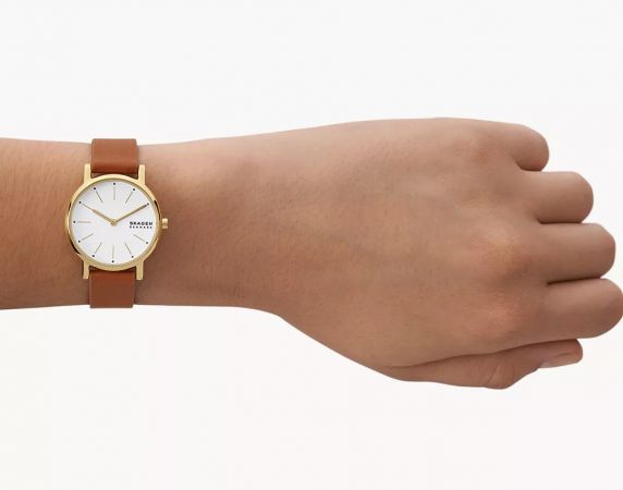 Skagen Signatur Lille SKW3121